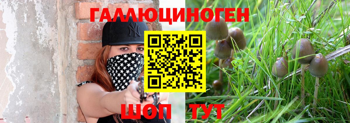Псилоцибиновые грибы мицелий Сланцы